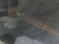 -一根排古(银泰城店)