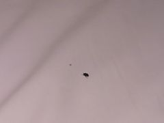 -启东恒大海上威尼斯酒店