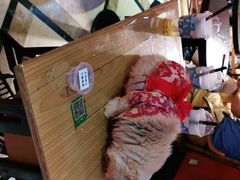 -猫色咖啡·猫咖