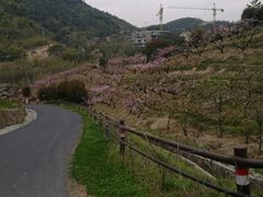 -莫干山郡安里度假酒店-桃尖中餐厅