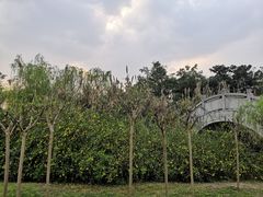 -眉山湿地公园(东坡区)