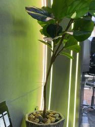 -不迫先生专业男士剪发