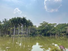 -中国科学院西双版纳热带植物园