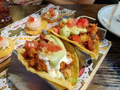 墨西哥鸡肉塔克-Famous肥猫墨西哥音乐餐吧(五棵松华熙LIVE店)