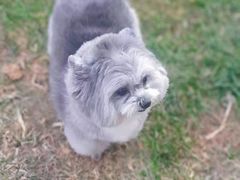 -宠颐生动物医院·心脏科·保险定点(锦阳分院)