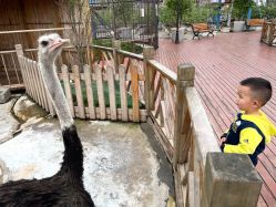 -三分地生态园·儿童乐园