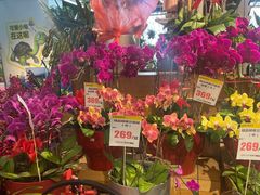 -山东嘉汇文化用品有限公司张店凤凰国际分公司(新村西路店)