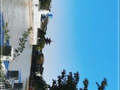 -枫桥景区