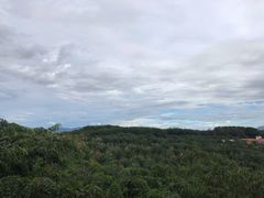 -西双版纳融创皇冠假日度假酒店