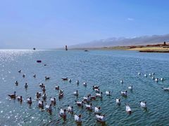 -青海湖国家重点风景名胜区