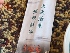 -白羊坡