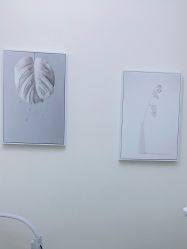 -VE专注问题肌·赛诺龙&科学美肤中心