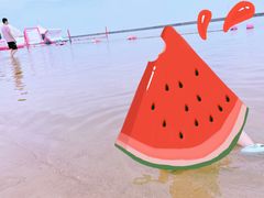 -碧海金沙