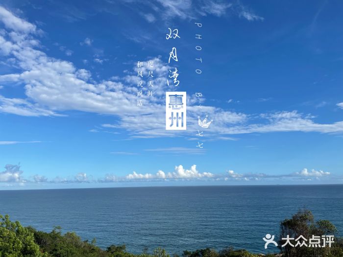 广东惠东海龟国家级自然保护区图片
