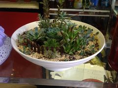 -FEI FEI FLOWER鲜花店·气球派对·宝宝宴布置(虹口德必运动Loft店)