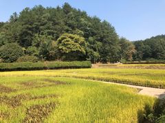 -韶山毛泽东同志故居