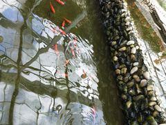 -上海多利农业发展有限公司