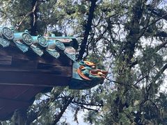 -窦大夫祠