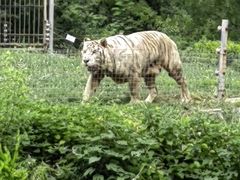 -济南野生动物世界