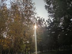 -莫子山公园