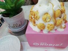 -NOBiBi