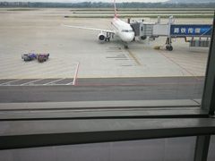 -麦当劳(禄口机场T2航站楼)