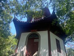 -上海佘山国家森林公园天马山园