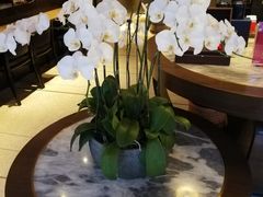 -王德传茶庄(上海新天地店)