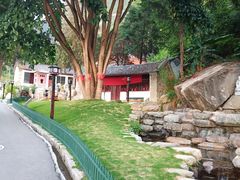 -苍山世界地质公园·石门关大峡谷