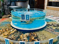 -金海湾海鲜总店
