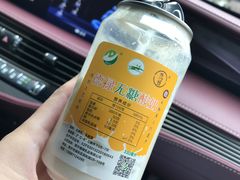 -德禄酸奶(莫家街店)