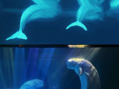 -海合安武汉极地海洋公园