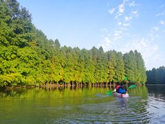 -上海海湾国家森林公园