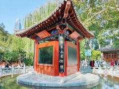 -趵突泉景区