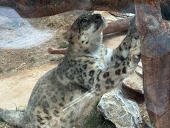 -青藏高原野生动物园