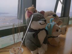 -柴犬小屋·柴餐厅·狗咖食堂(金鼎广场店)