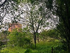 -华南师范大学(广州大学城校区)