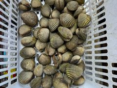 -三亚相缘海鲜排档(三亚湾店)