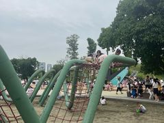 -桂溪生态公园
