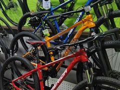 -道路口单车爱瓦士dahon大行