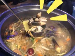 -千岛蚝高压锅生蚝·人参火锅(白云万达店)