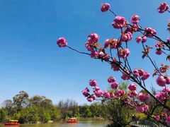 -吴淞炮台湾湿地森林公园烧烤区