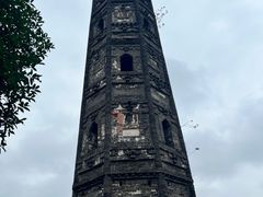 -上海佘山国家森林公园天马山园