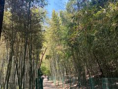 -四门塔风景区