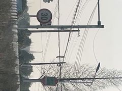 -阿林有机农庄