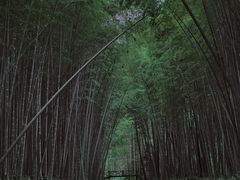 -同里国家湿地公园
