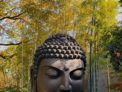 -杭州植物园