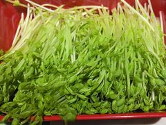 -番食园鲜食火锅(高新店)