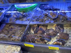 -77号渔船·蒸海鲜青岛菜(积米崖店)