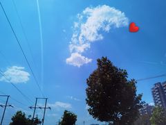 -辛玛王国游乐园